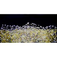 Nachtwiese -2005 - 80 x 150 cm